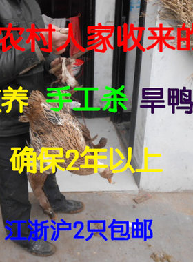 农家2年以上纯手工土鸭子