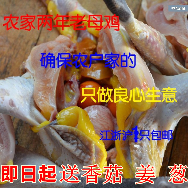 正宗农家散养2年自现杀月子鸡