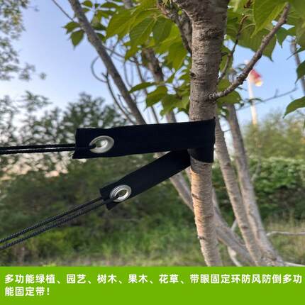 防风树带新种植树木苗圃防风绳带气眼固定绑带定型带素环扎眼绑带