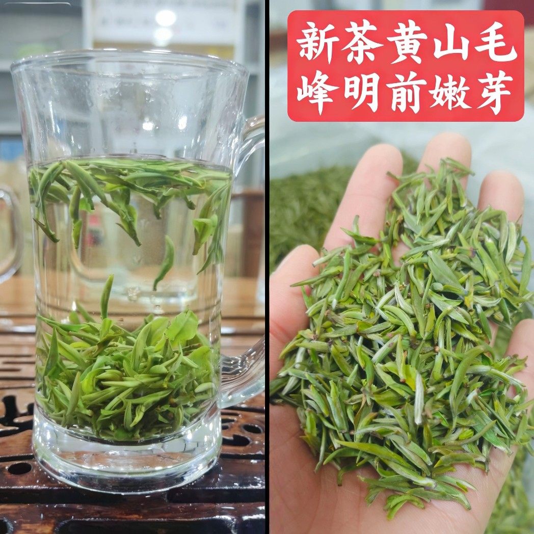 2026明前头采特级嫩芽毛峰 芽头肥嫩 茶汤清亮 浓香型春茶小米芽