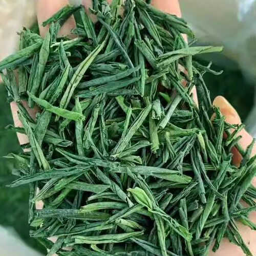 六安瓜片2026年新茶绿茶安徽茶叶春茶口粮茶散装共250g
