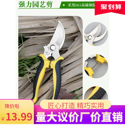 园艺果枝剪多功能树枝剪园林剪刀防滑省力手动修枝剪摘果剪不锈钢