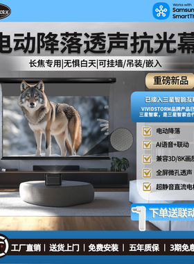VIVIDSTORM透声抗光投影幕布 吊顶天花遥控降落幕 明装壁挂幕 卧室客厅电动升降幕布 长焦投影仪高清投影屏幕