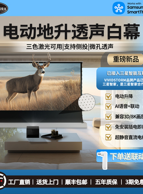 VIVIDSTORM透声款电动地升白幕家用办公高清大屏投影幕地拉式升降幕家庭影院投影仪拉线可侧投PVC白塑幕布