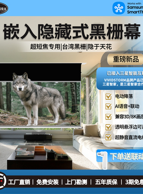 VIVIDSTORM嵌入式电动升降投影幕布 激光电视黑栅透声幕 超短焦投影仪专用抗光幕布 家庭影院天花隐藏降落幕