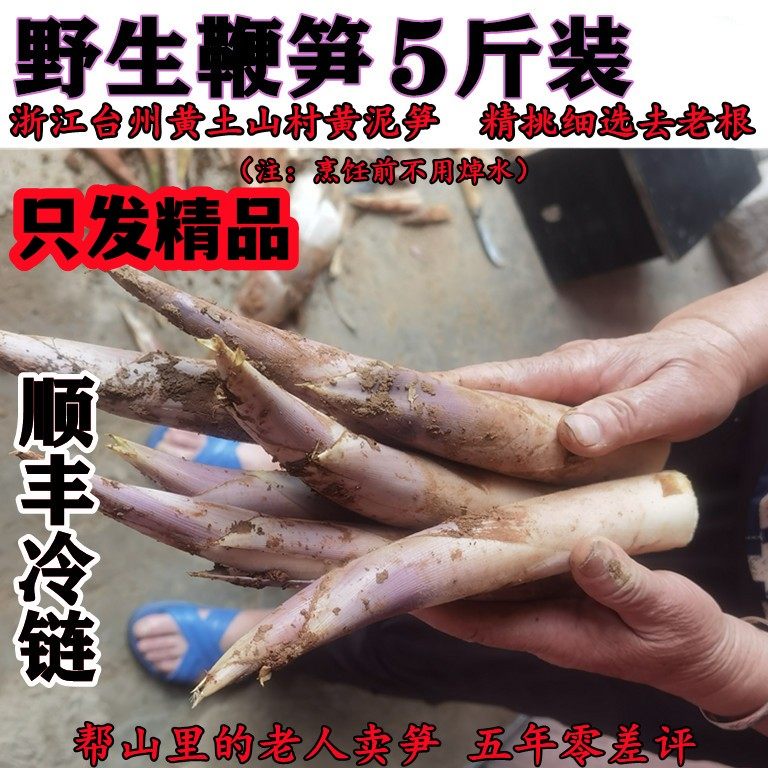 新鲜笋冬笋时令蔬菜酒店特色食材夏笋绿笋边笋马蹄笋雷笋小竹笋尖
