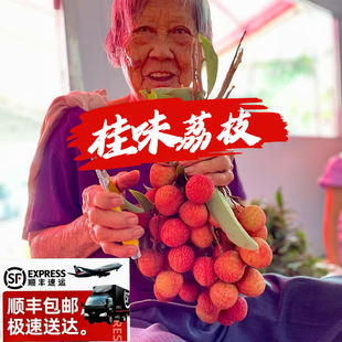 荔枝新鲜广东高州桂味荔枝当季水果现摘现发精选大果顺丰五斤