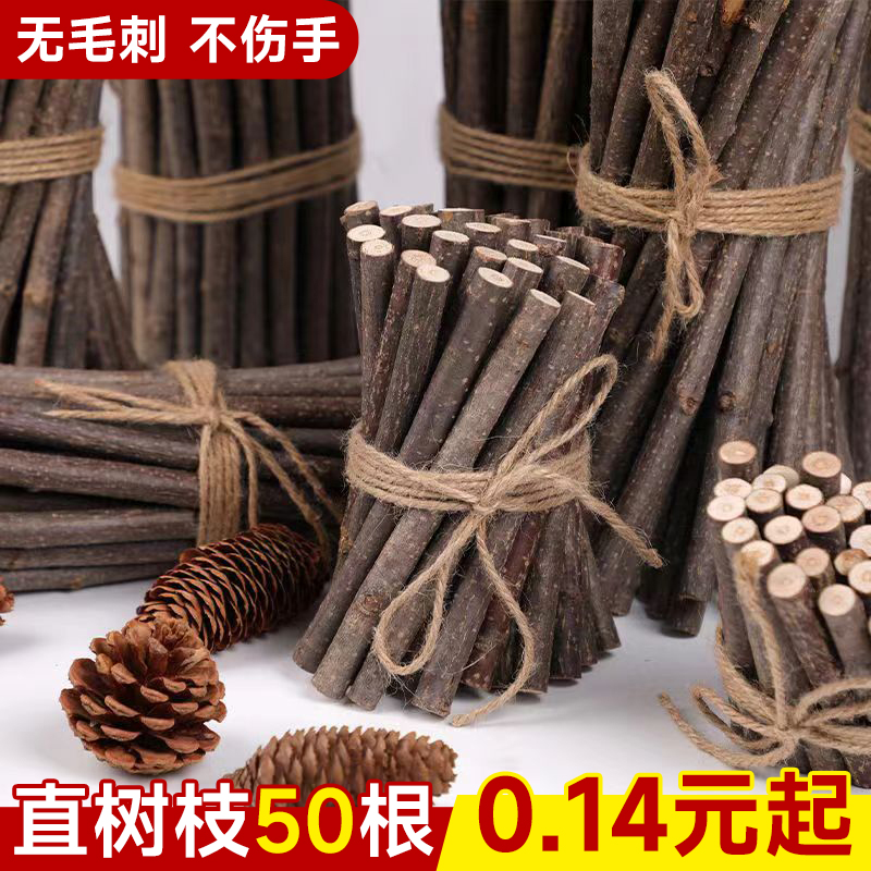 树枝造景装饰天然枯枝花束幼儿园环创材料手工diy树干原木画摆件图片