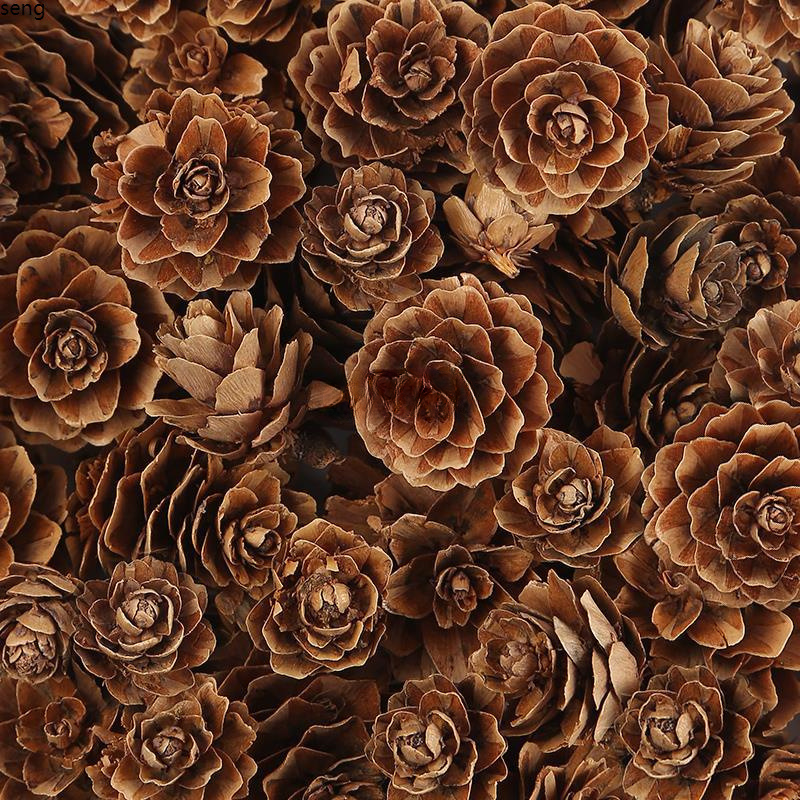 干松果球松塔幼儿园天然树枝装饰儿童手工环创diy材料包挂件布置