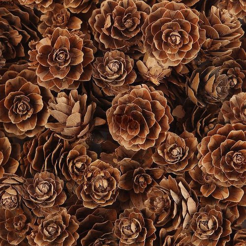 干松果球松塔幼儿园天然树枝装饰儿童手工环创diy材料包挂件布置