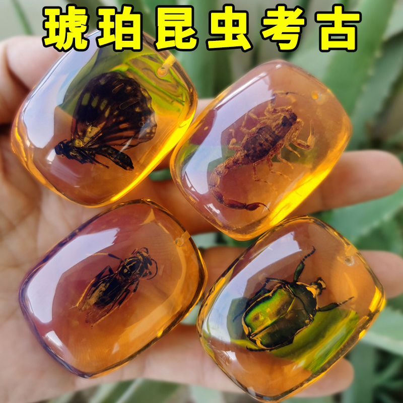 考古挖掘玩具挖宝石琥珀昆虫标本