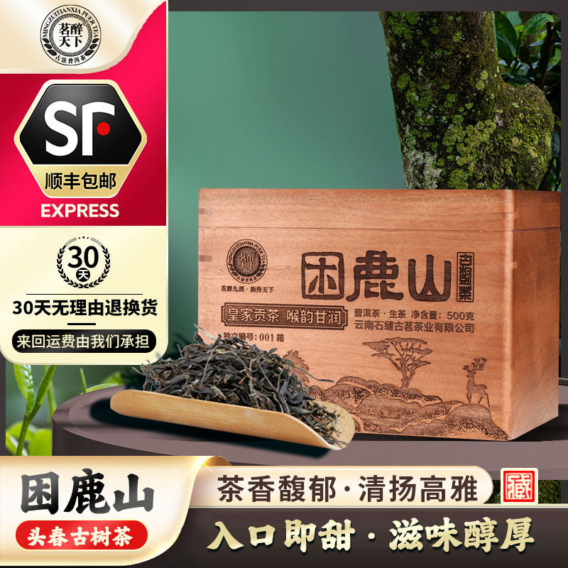 2026年预售困鹿山春茶古树普洱茶生茶散茶叶典藏实木箱装500克