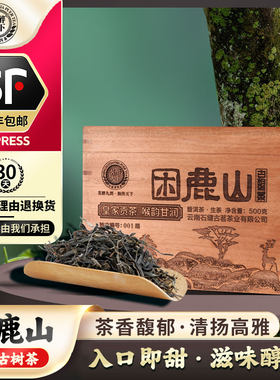 2026年预售困鹿山春茶古树普洱茶生茶散茶叶典藏实木箱装500克