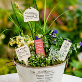 怀旧花盆小装 趣味多肉花盆小插牌复古风铁艺文字花插装 饰欧式 饰