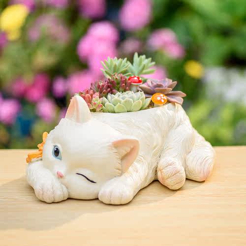可爱的猫咪卡通小动物多肉花盆
