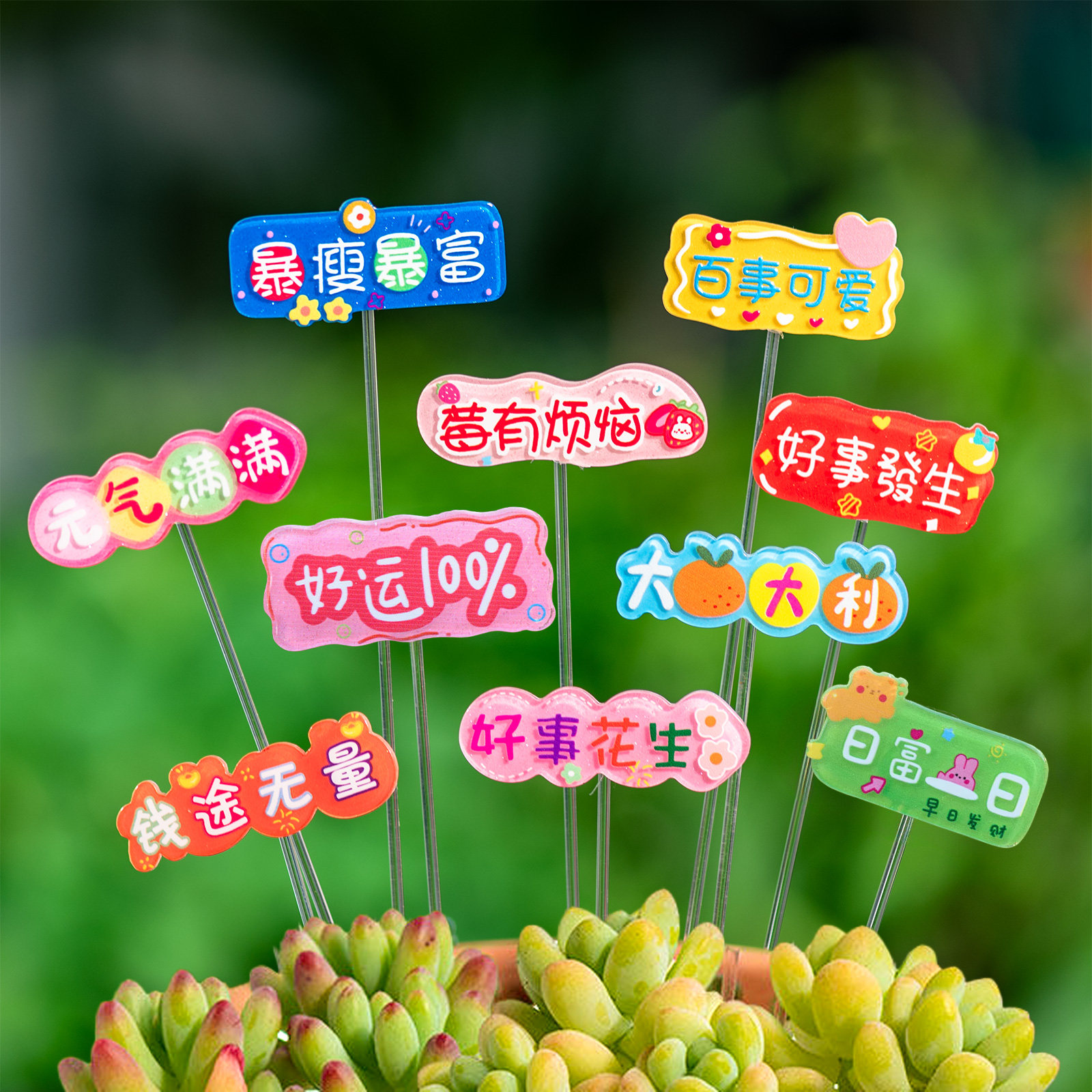 微景观网红财运好运祝福语花插中文字牌多肉花盆装饰配件DIY材料