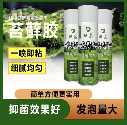 苔筑苔藓胶绿植雨林缸造景