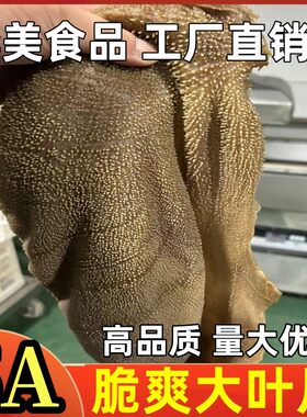 毛肚牛百叶商用大叶片新鲜