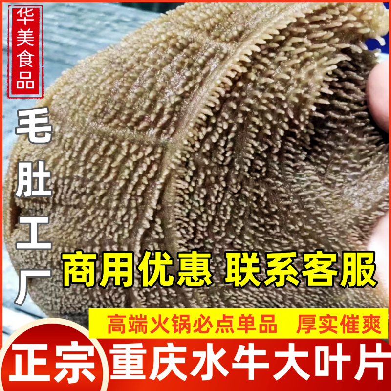 新鲜水牛大叶片10斤装爽脆牛百叶黑千层重庆火锅食材商用黑毛肚
