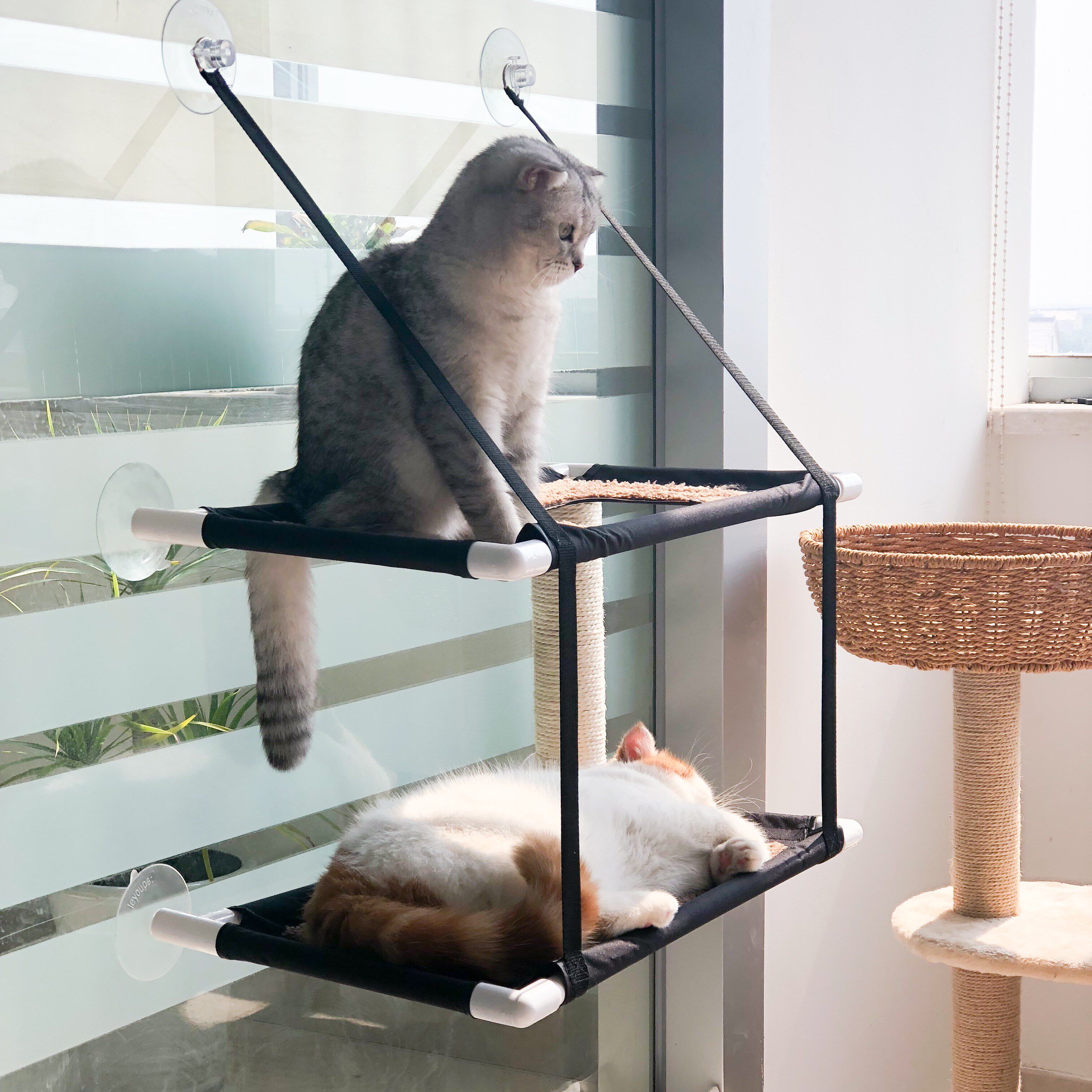 猫吊床猫咪床吸盘式挂窝窗台四季挂式猫窝休闲玻璃窗户拆洗猫床在类目 宠物/宠物食品及用品, 猫/狗日用品, 床/垫/沙发（新）, 床中 - 来自Buy2taobao.com提供专业的淘宝代购服务
