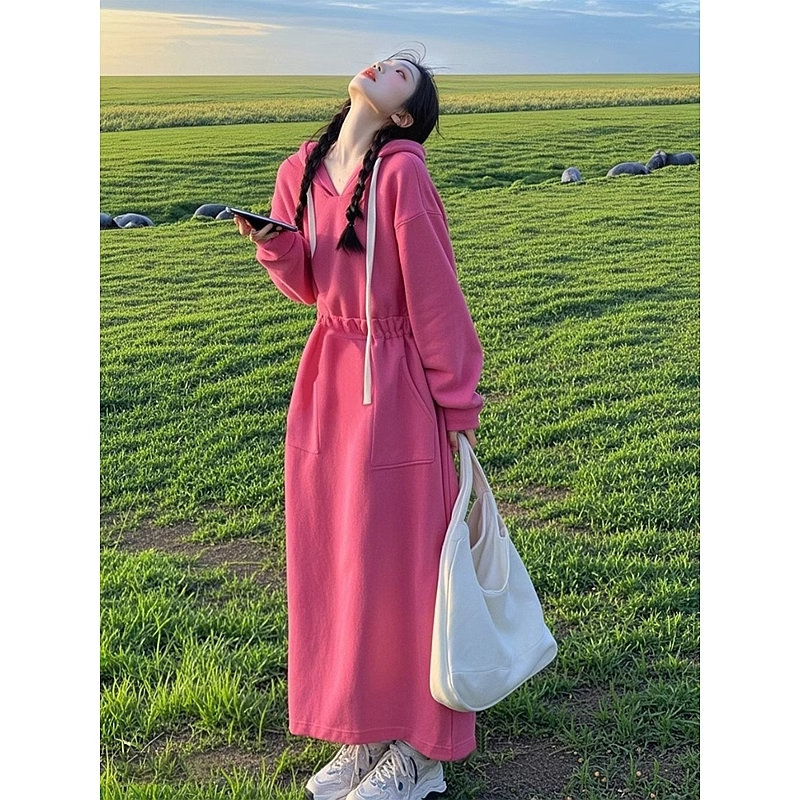 粉色休闲连帽卫衣裙女春季2025新款温柔风清纯系收腰显瘦连衣长裙