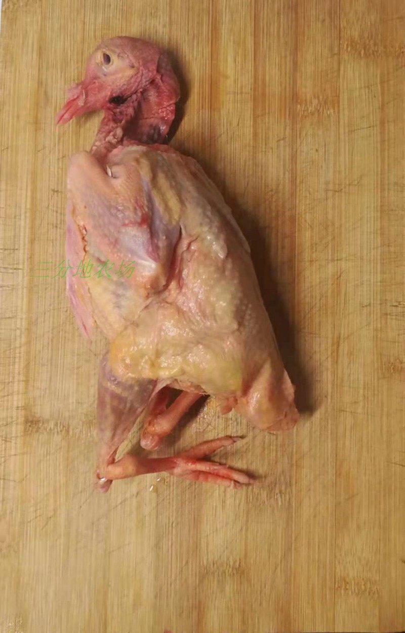 崇明我家的三分地 老鸽 炖汤煲汤食材新鲜活杀全粮食喂养无激素