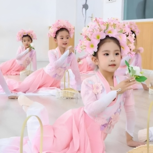 簪花入梦古典舞艺考剧目花开时节动京城扇子舞蹈演出服装玉蝶幽香