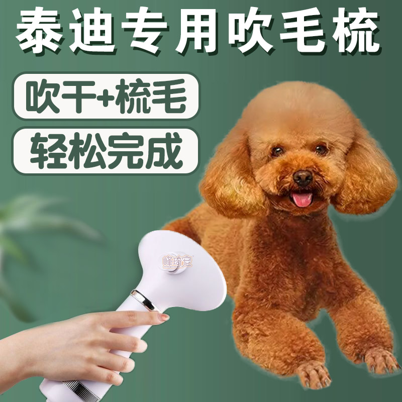 泰迪专用吹风拉毛一体机泰迪犬梳子蓬松梳毛神器洗澡烘干美容工具-封面