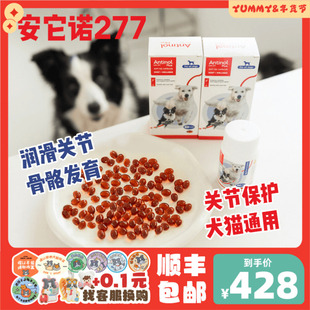 新西兰安它诺277软骨素Antinol安替诺胶囊猫狗524保护关节安适得