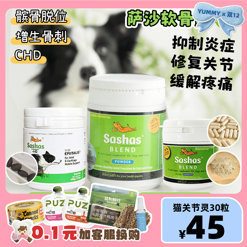 sasha软骨素边牧狗髌骨脱位修复