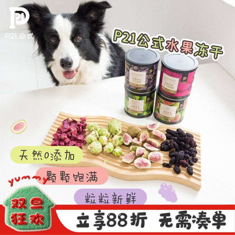 P21宠物零食水果冻干主食伴侣