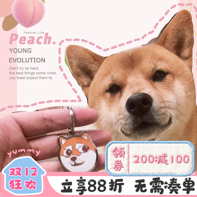 woofcard纯金属定制身份牌防走丢