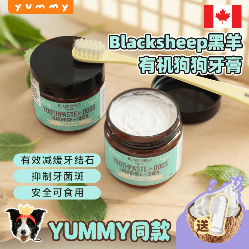 blackSheep黑羊牙膏狗狗薄荷椰子油宠物刷牙去牙结石口嘴臭加拿大