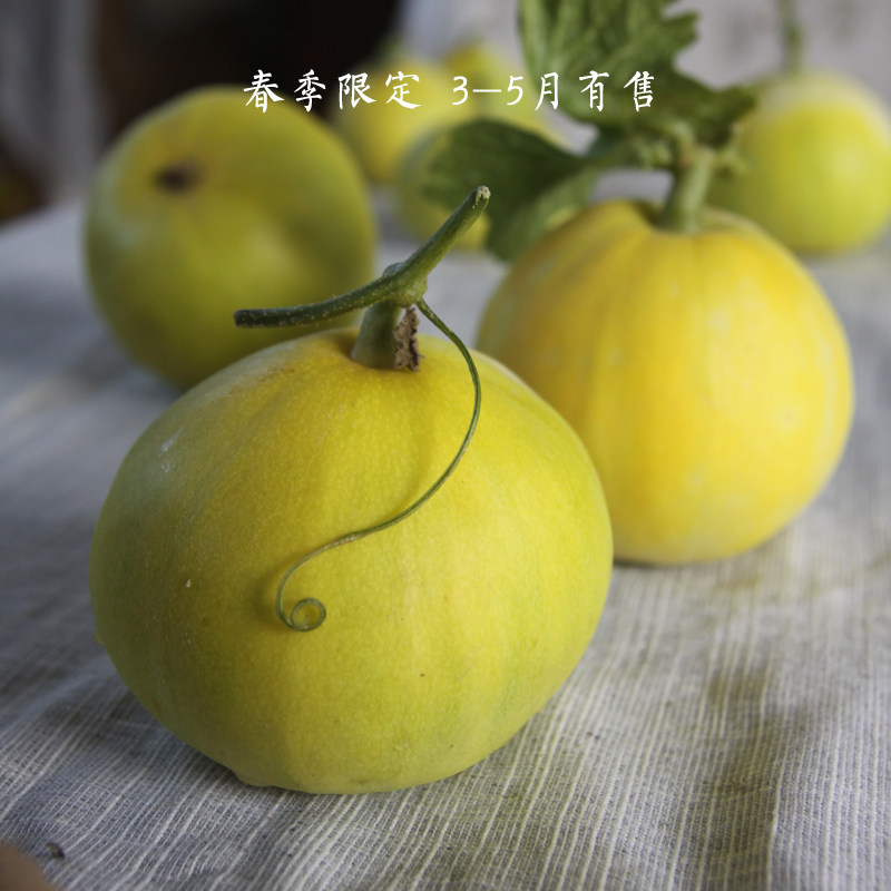现摘现发大黄冰糖脆甜瓜 就是这么甜 就是脆 非星甜20 蜜罐小蜜蜂