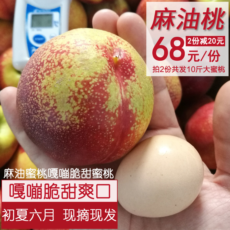 油桃麻油桃5斤山东脆甜爽口