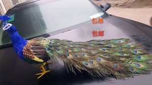 仿真真羽毛孔雀 绿白假孔雀 橱窗装饰 孔雀模型道具标本 婚庆引路