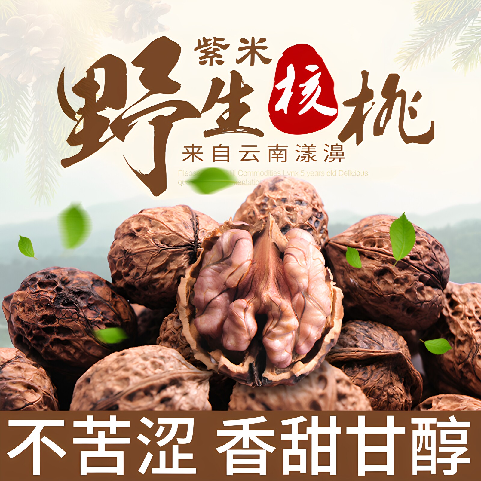 云南漾濞2026年新货紫米纸皮尖嘴核桃孕妇老树生核桃原味新鲜黑桃
