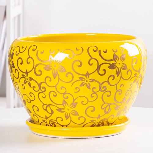 阳台个性绿植盆绿萝盆栽