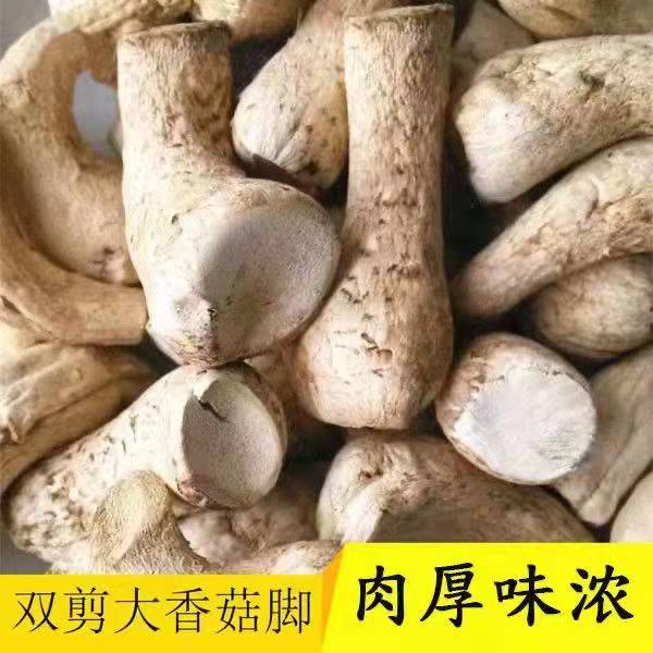 西峡香菇双剪菇腿散装干净无杂质