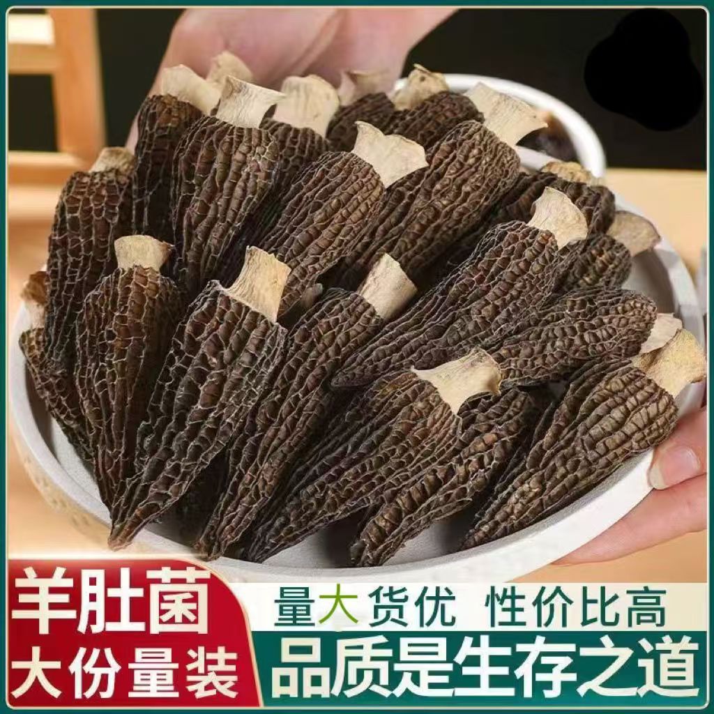 菌裕羊肚菌干货山珍野生菌