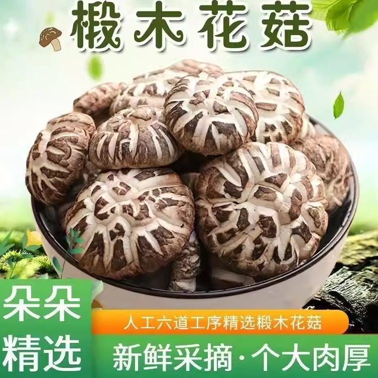 菌裕西峡香菇花菇干货500g新鲜营养小干香菇冬菇菌菇新鲜干蘑菇,粮油调味/速食/干货/烘焙,香菇类,淘宝优惠券,粉丝福利购,淘宝优惠卷
