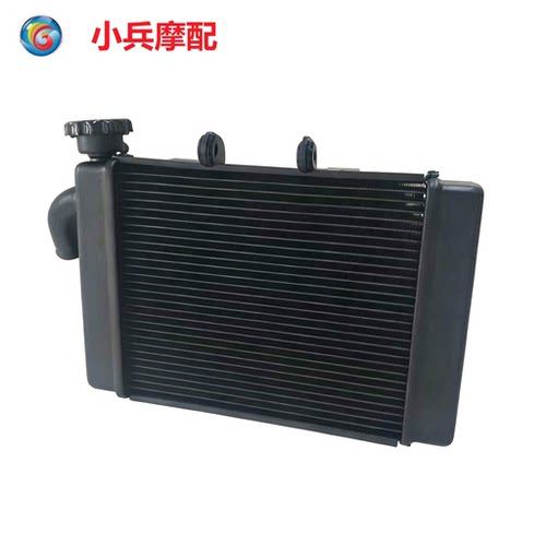 适用钱江贝纳利黄龙BJ300GS BN302S水箱升级款