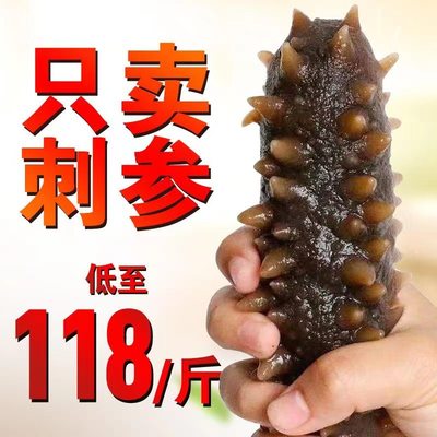 特级大连即食海参一斤500g