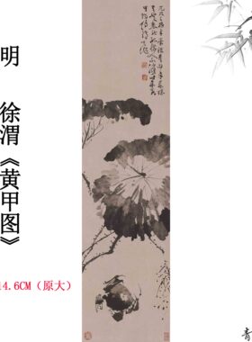 11明徐渭黄甲图轴立轴