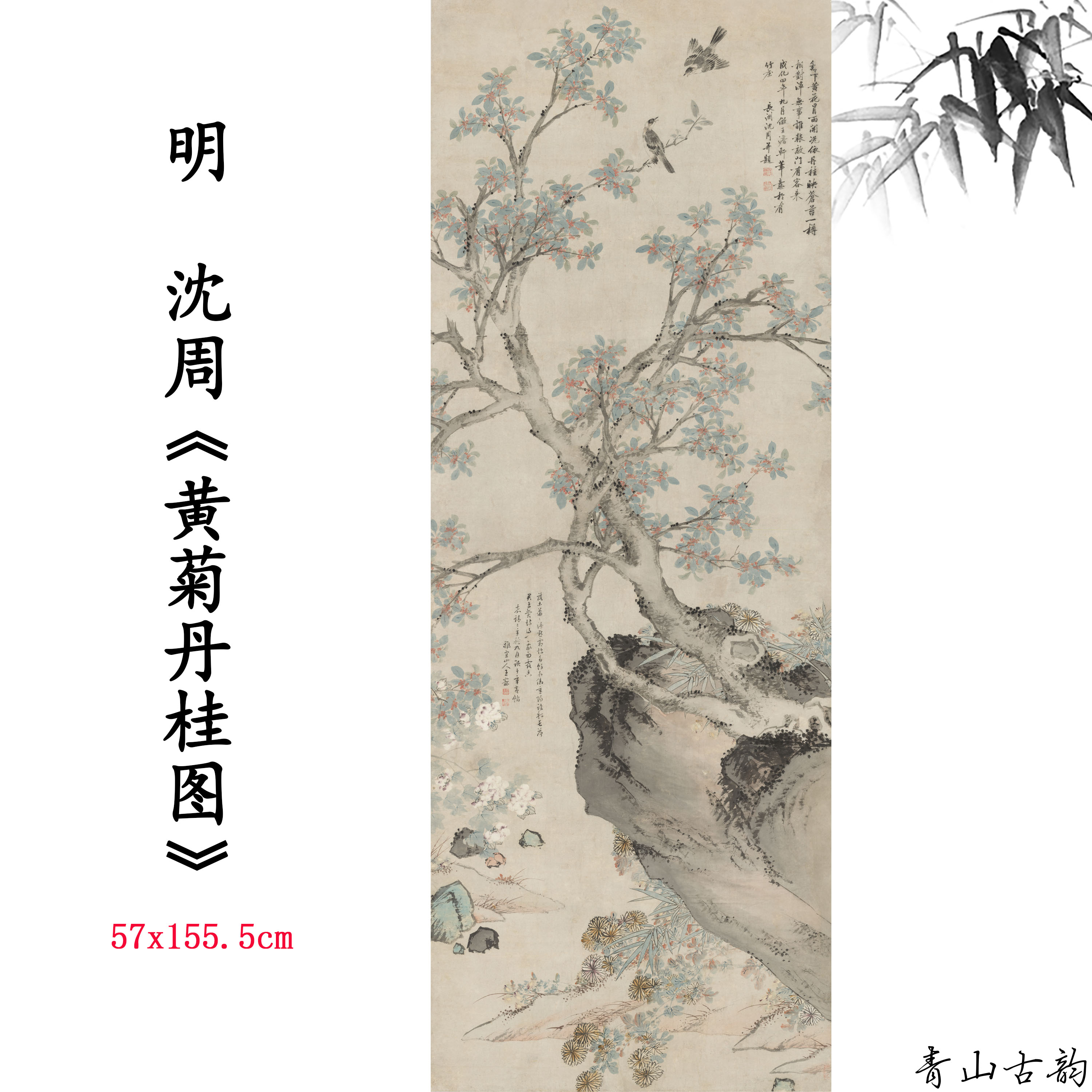 新品11明沈周黄菊丹桂