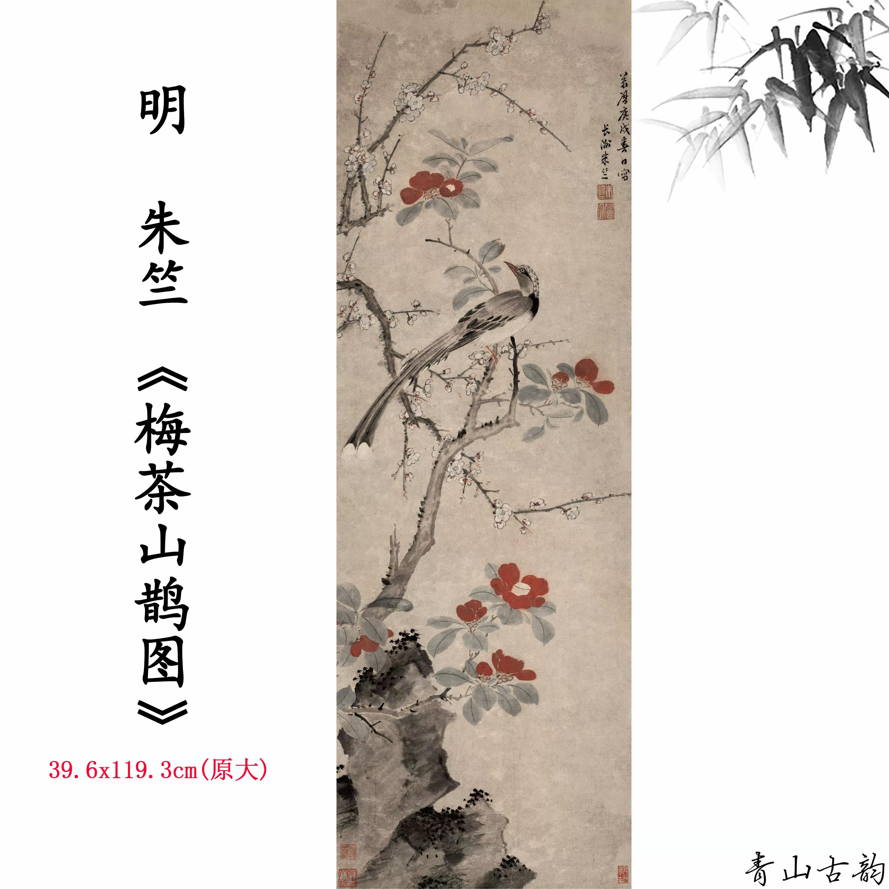 新品11明朱竺梅茶山鹊