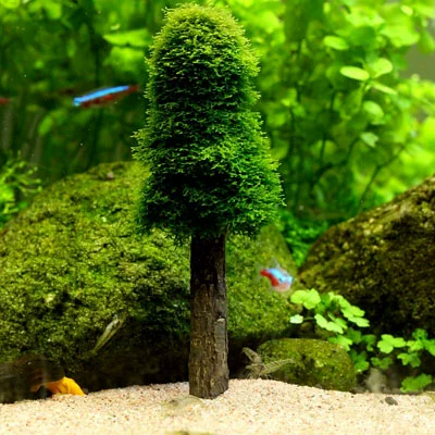 Meiyi Moise Tree Tree Рождественская еловая дерево вода трава ландшафтная пакет мисс моделирование