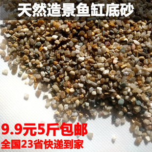天然河砂河沙鱼缸底沙石英砂水族箱鱼缸造景水草缸底床粗黄砂包邮