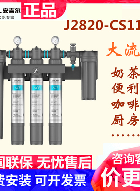 安吉尔J2820-CS1100商用净水设备奶茶店餐厨净水器前置过滤大流量