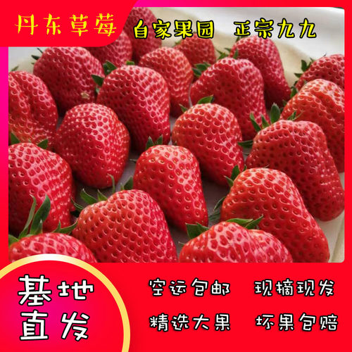 丹东99草莓新鲜草莓红颜九九草莓奶油牛奶东港草莓孕妇水果助农 - 封面